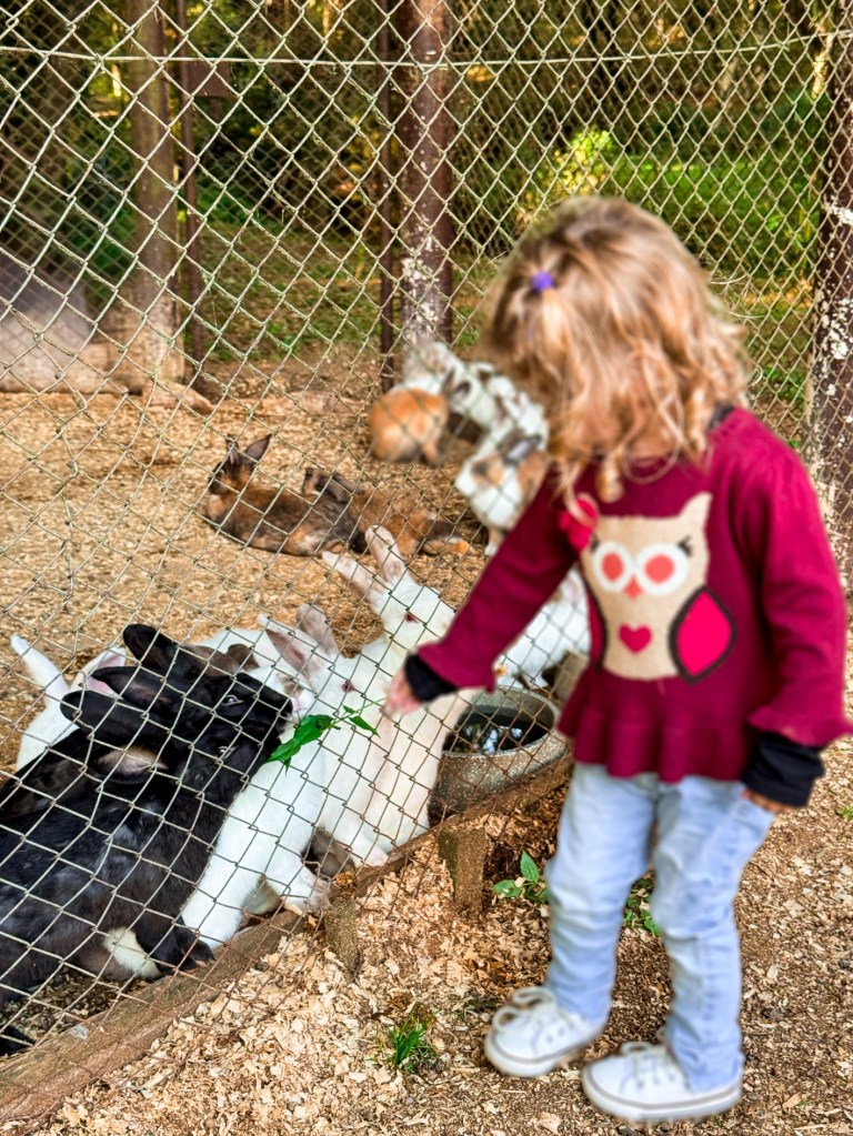 caça aos ovos com visita do Coelho da Páscoa, cerimônia de plantio de árvore, luau à beira do lago